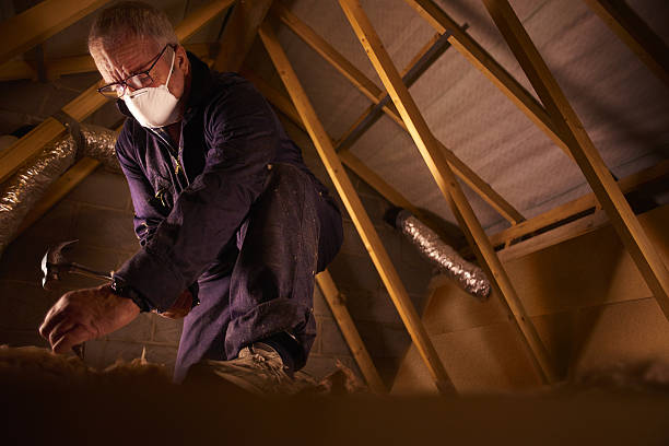 Best Residential Insulation in Flora, AL