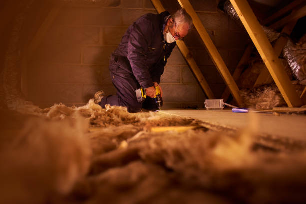 Best Commercial Insulation in Flora, AL